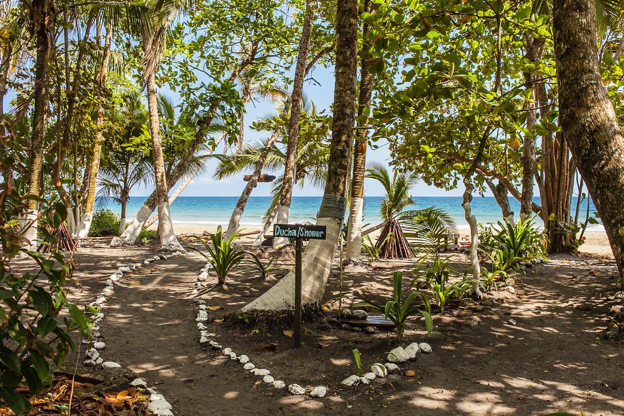 Lapalapa Beachfront Hotel Puerto Viejo de Talamanca Zewnętrze zdjęcie