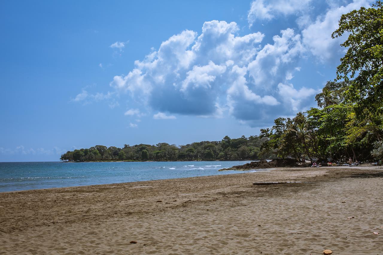 Lapalapa Beachfront Hotel Puerto Viejo de Talamanca Zewnętrze zdjęcie