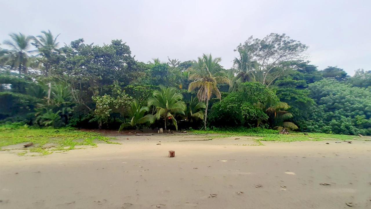 Lapalapa Beachfront Hotel Puerto Viejo de Talamanca Zewnętrze zdjęcie