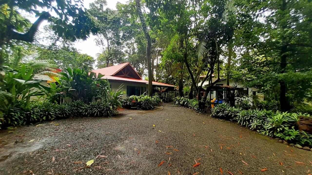 Lapalapa Beachfront Hotel Puerto Viejo de Talamanca Zewnętrze zdjęcie