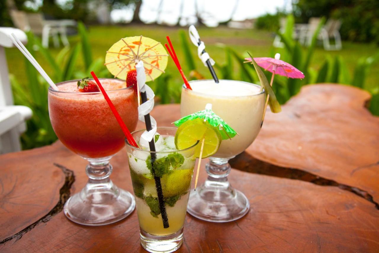 Lapalapa Beachfront Hotel Puerto Viejo de Talamanca Zewnętrze zdjęcie