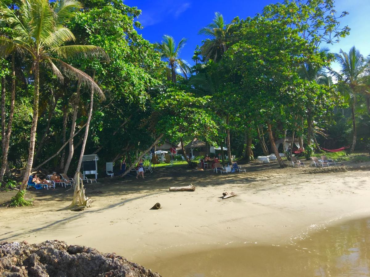 Lapalapa Beachfront Hotel Puerto Viejo de Talamanca Zewnętrze zdjęcie