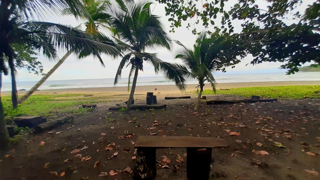 Lapalapa Beachfront Hotel Puerto Viejo de Talamanca Zewnętrze zdjęcie