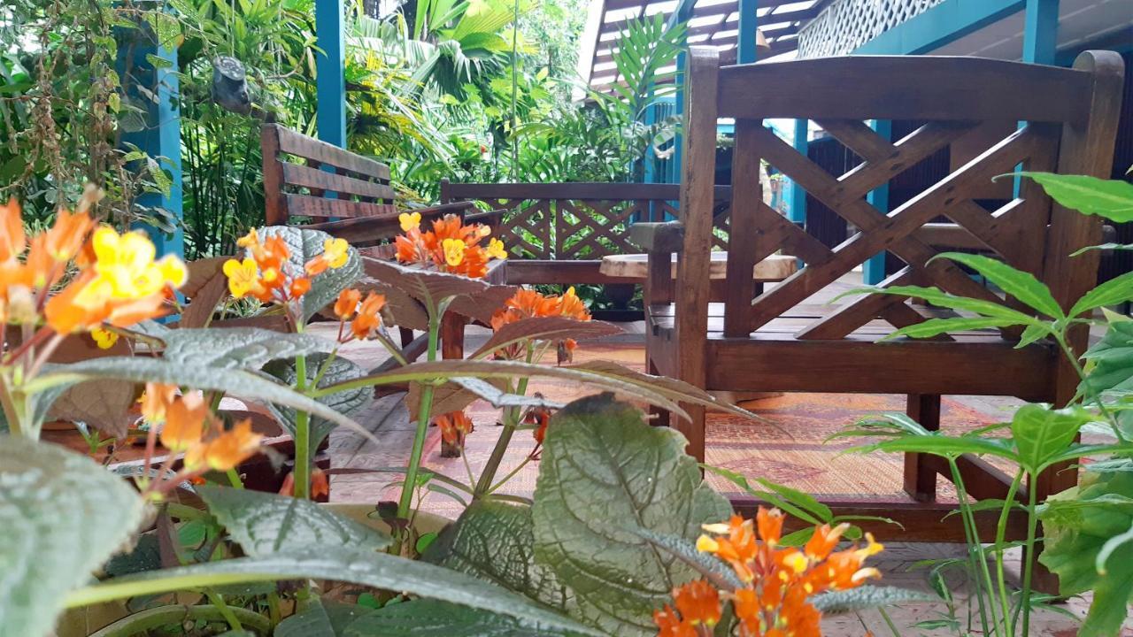 Lapalapa Beachfront Hotel Puerto Viejo de Talamanca Zewnętrze zdjęcie