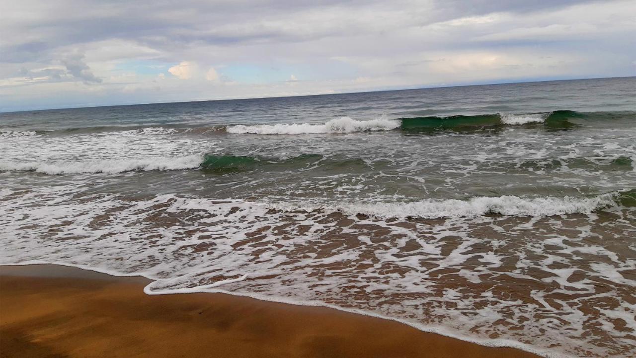 Lapalapa Beachfront Hotel Puerto Viejo de Talamanca Zewnętrze zdjęcie