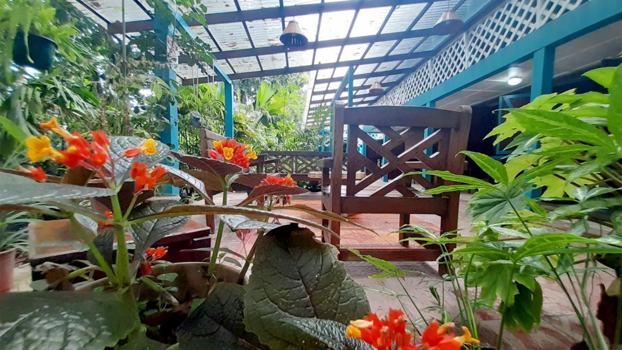 Lapalapa Beachfront Hotel Puerto Viejo de Talamanca Zewnętrze zdjęcie