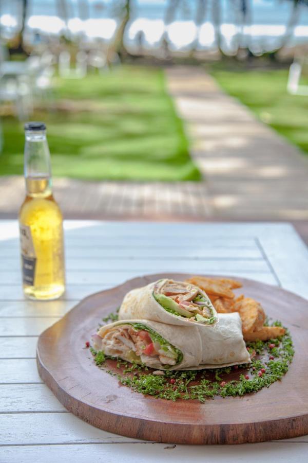 Lapalapa Beachfront Hotel Puerto Viejo de Talamanca Zewnętrze zdjęcie